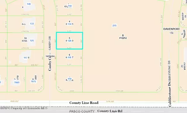 Canby Circle, Spring Hill, FL 34606