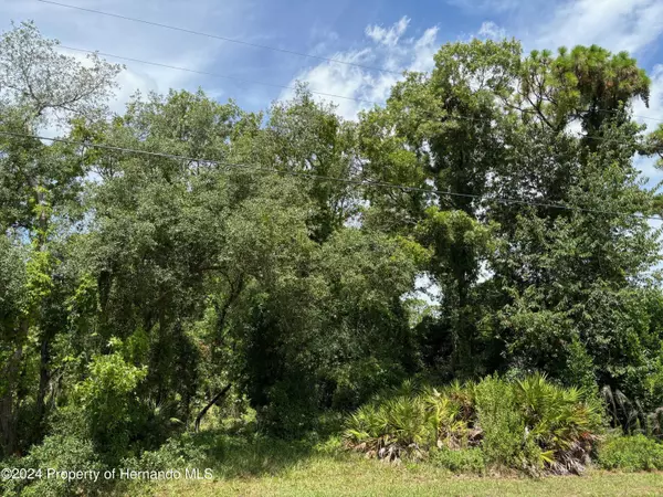 Weeki Wachee, FL 34613,3 Mavis Rd Road