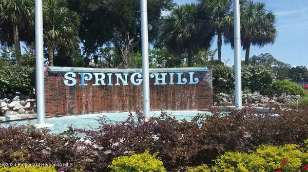 Spring Hill, FL 34608,11426 JANET Avenue