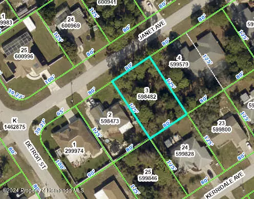 Spring Hill, FL 34608,11426 JANET Avenue