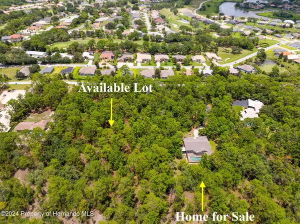 Weeki Wachee, FL 34613,9020 Birmingham Avenue