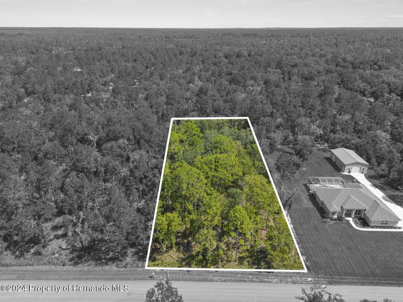 Yellow Hammer Road, Weeki Wachee, FL 34614