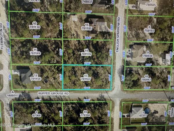 Ruffed Grouse Road, Brooksville, FL 34614