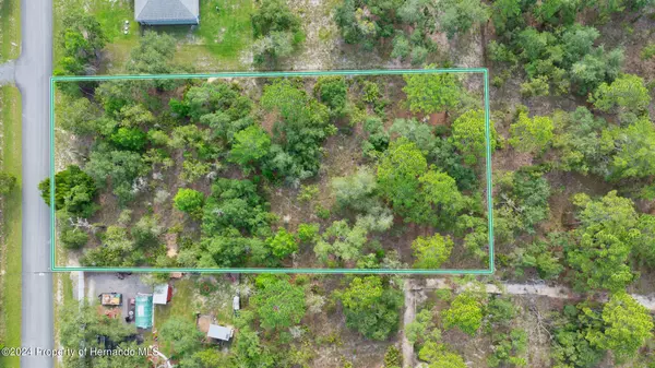 Weeki Wachee, FL 34614,1 Mexican Canary Avenue