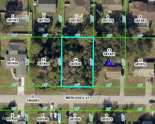 Spring Hill, FL 34609,0 Mercedes Street