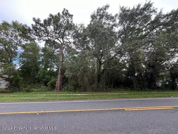 Spring Hill, FL 34608,Elgin Boulevard