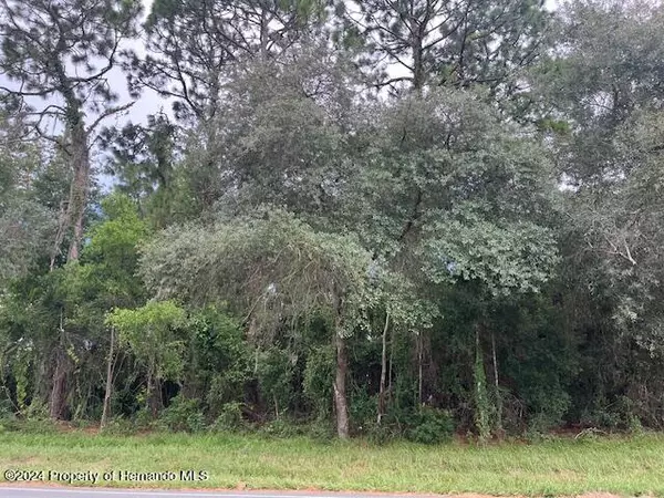 Spring Hill, FL 34608,Elgin Boulevard