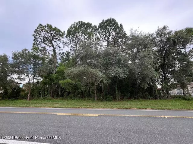 Spring Hill, FL 34608,Elgin Boulevard