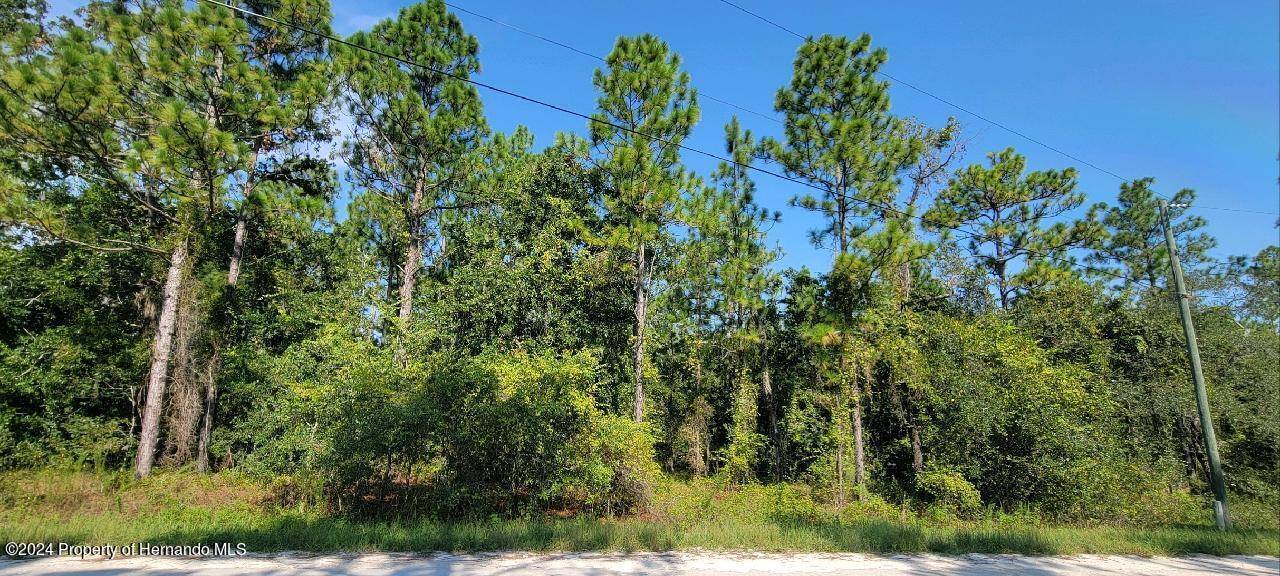 15375 Coot Road, Weeki Wachee, FL 34614