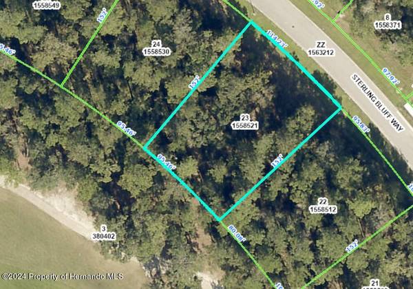 19612 Sterling Bluff Way, Brooksville, FL 34601