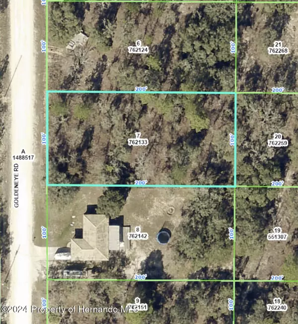 Goldeneye Road, Weeki Wachee, FL 34614