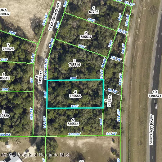 Weeki Wachee, FL 34614,Cedarwood Avenue