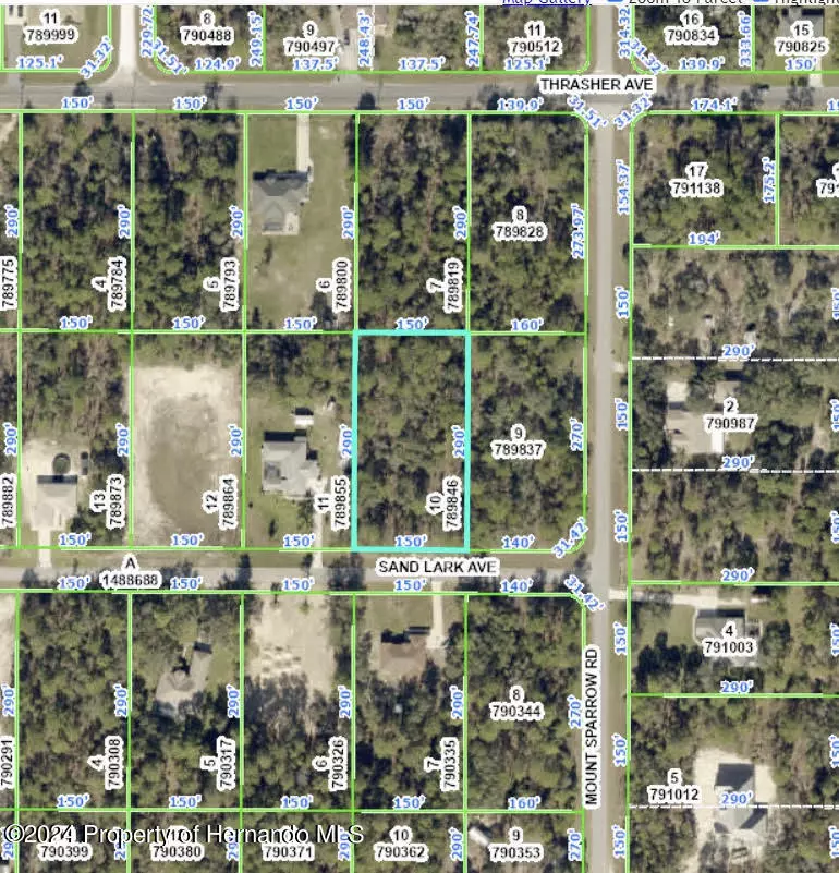 Weeki Wachee, FL 34614,10471 Sand Lark Avenue