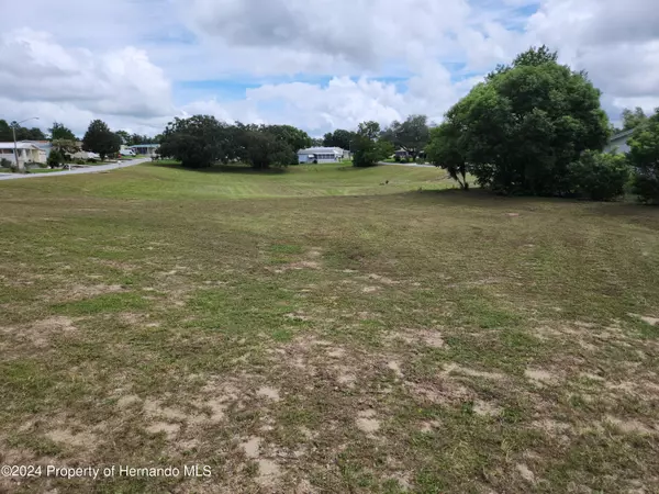 Brooksville, FL 34613,14450 Rialto Ave Lot 16