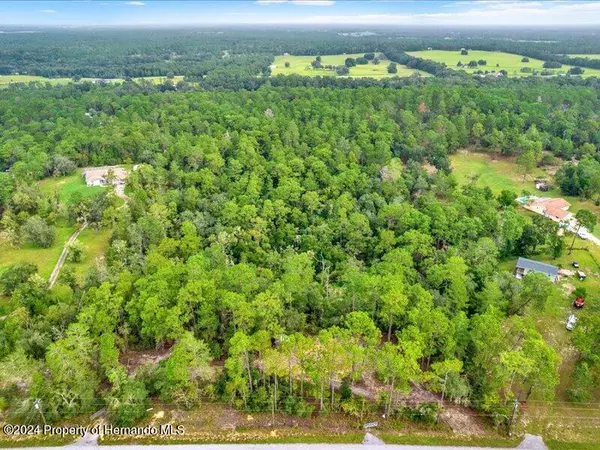 7249 E Shadywoods Court, Floral City, FL 34436