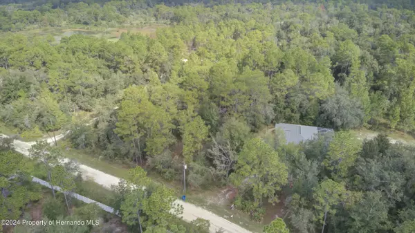 Weeki Wachee, FL 34614,Sage Brush Lane