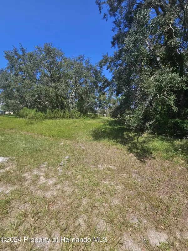 Spring Hill, FL 34608,9925 Reindeer Court