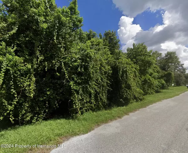 Spring Hill, FL 34607,Olson Road