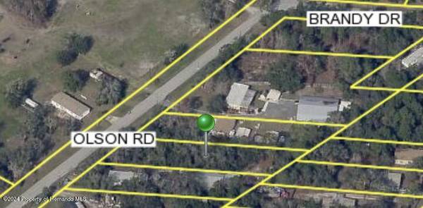 Olson Road,  Spring Hill,  FL 34607