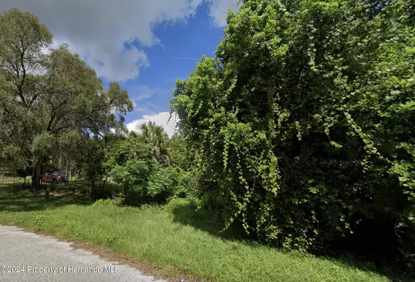 Spring Hill, FL 34607,Olson Road