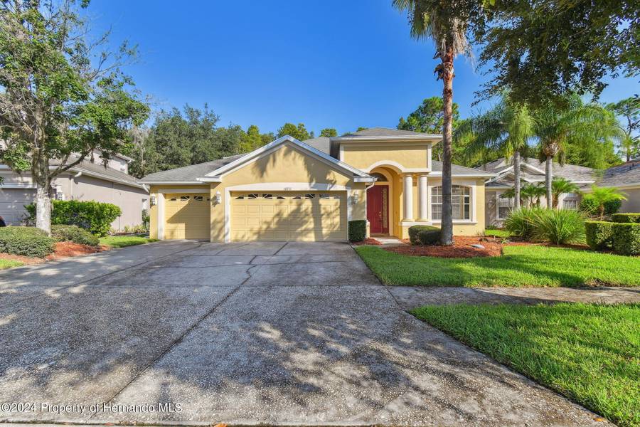 10711 PEARL BERRY Loop, Land O' Lakes, FL 34638