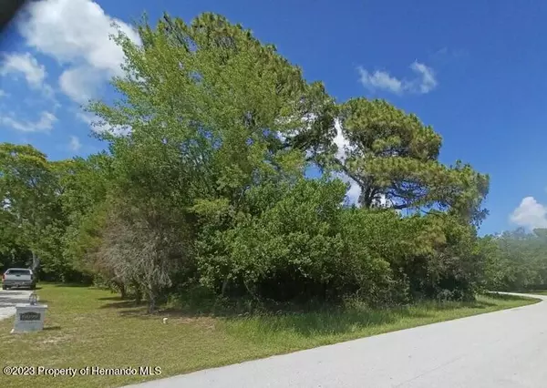 Chaucer Drive, Weeki Wachee, FL 34607