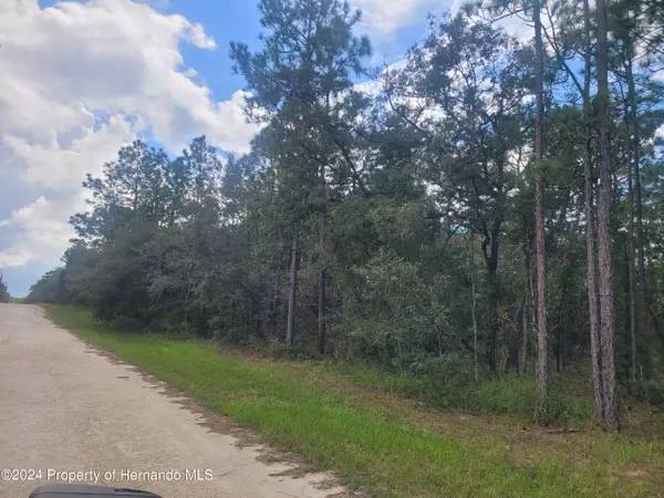 Weeki Wachee, FL 34614,15435 mottled owl Road