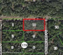 Crystal River, FL 34428,9974 N Ferncliff Point