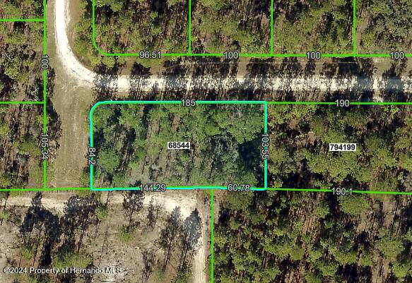 15468 man o war Road, Weeki Wachee, FL 34614