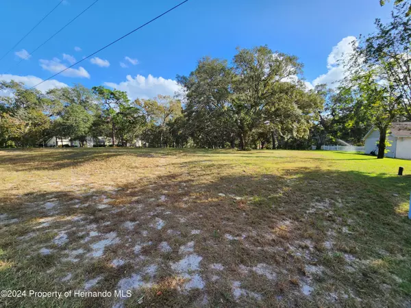 Spring Hill(pasco), FL 34610,0 Kerry Hills Lane Lot 2158