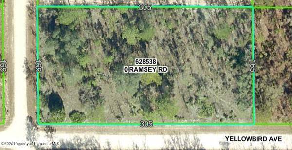 6 RAMSEY Road, Weeki Wachee, FL 34614