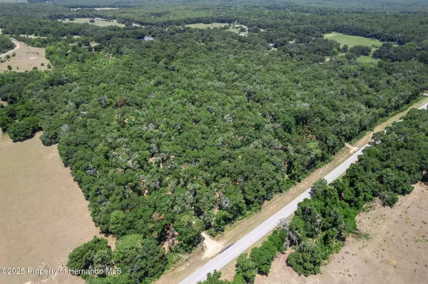 Floral City, FL 34436,11440 S Pleasant Grove Road