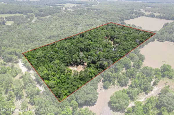 Floral City, FL 34436,11440 S Pleasant Grove Road