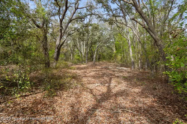 Webster, FL 33597,0 Rim Rock Street