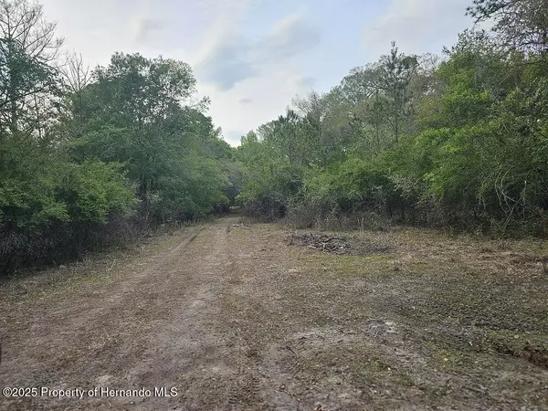 Webster, FL 33597,0 Colonel Avenue