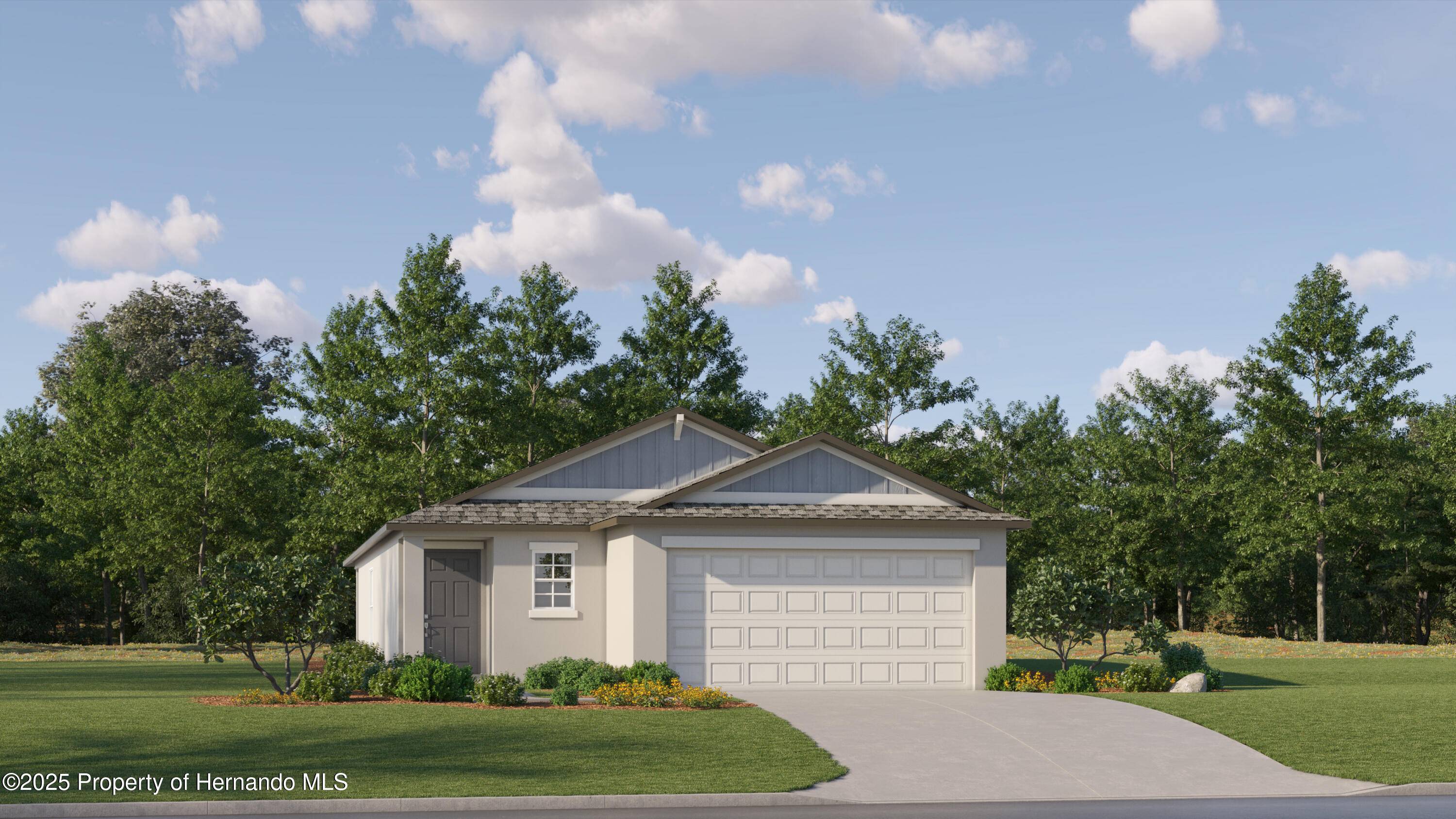 17512 shirewwod Way, Land O' Lakes, FL 34638