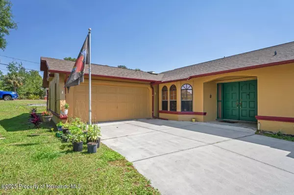 Weeki Wachee, FL 34613,7270 Nightwalker Road