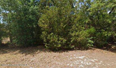 2672 S Willow Terrace, Homosassa, FL 34448