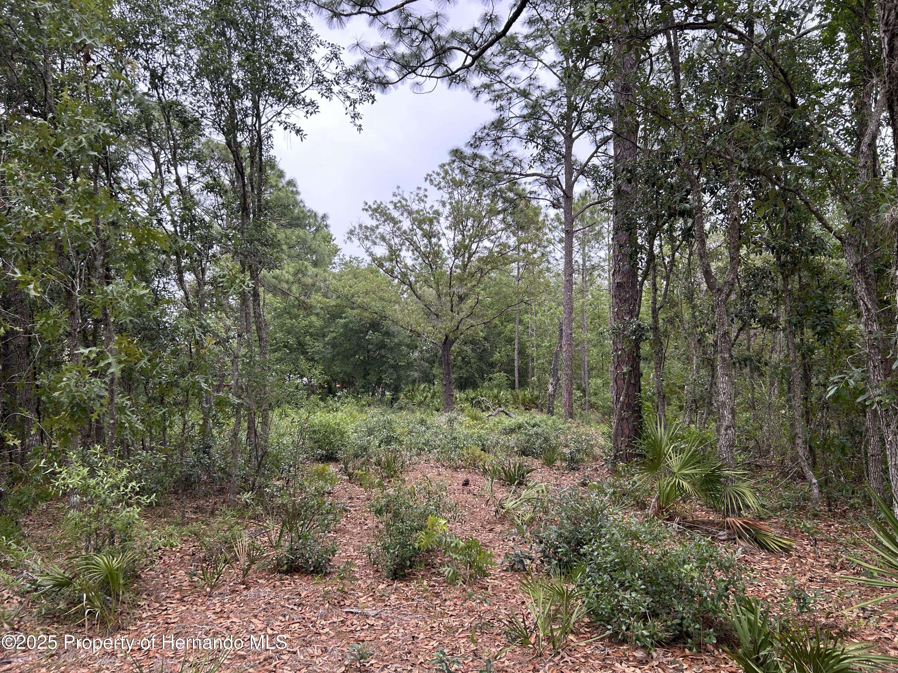0 S Slash Pine Avenue, Homosassa, FL 34446
