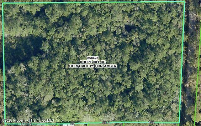 0 Hope Hill Road, Brooksville, FL 34601