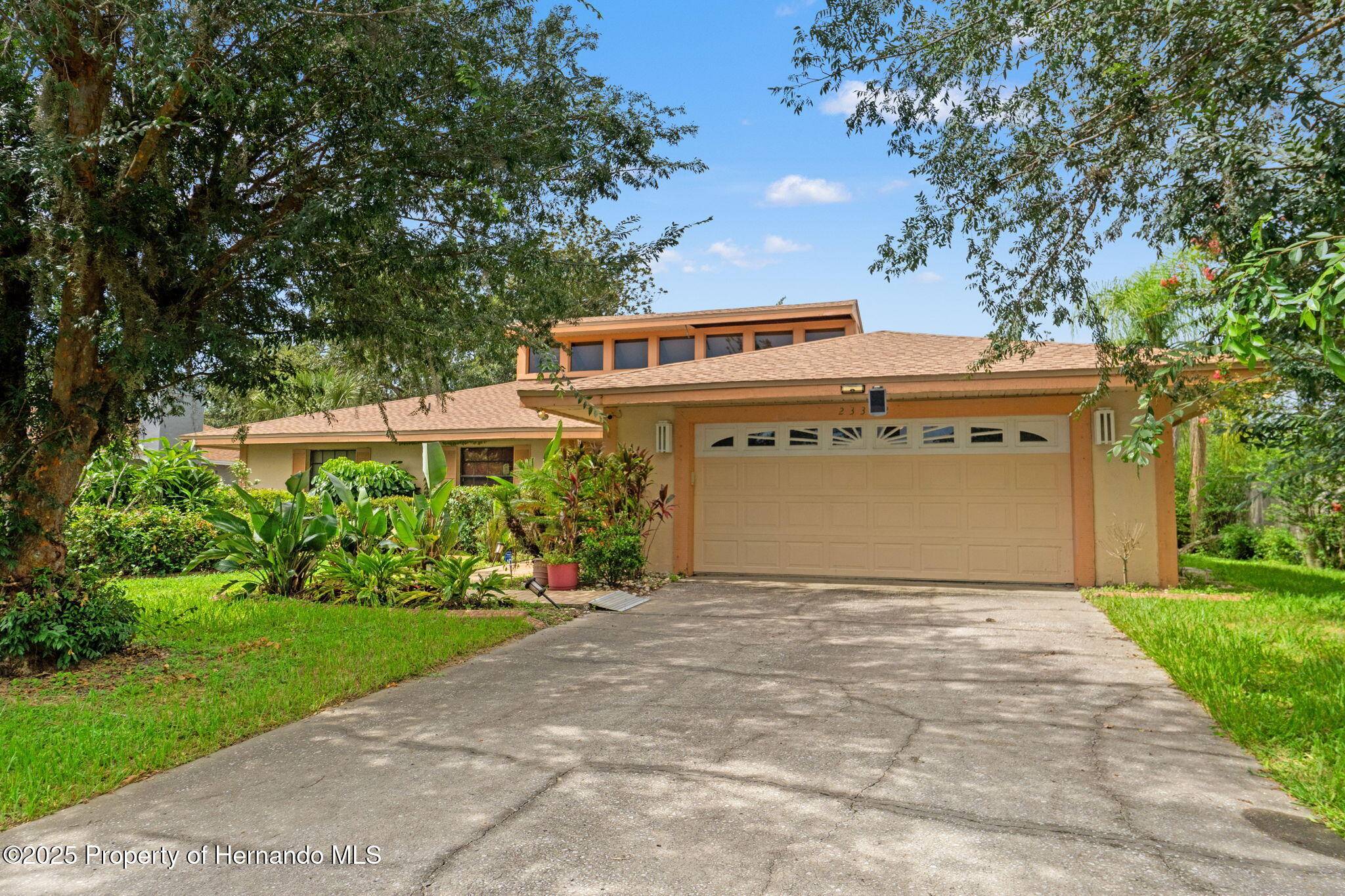 23302 Lucerne Place, Land O' Lakes, FL 34639