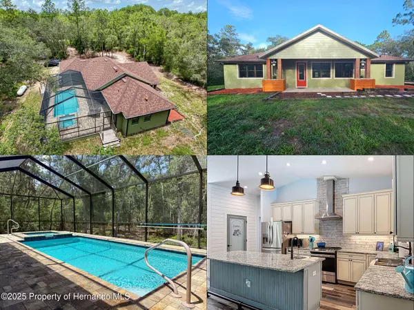 34335 Berryhill Drive,  Webster,  FL 33597