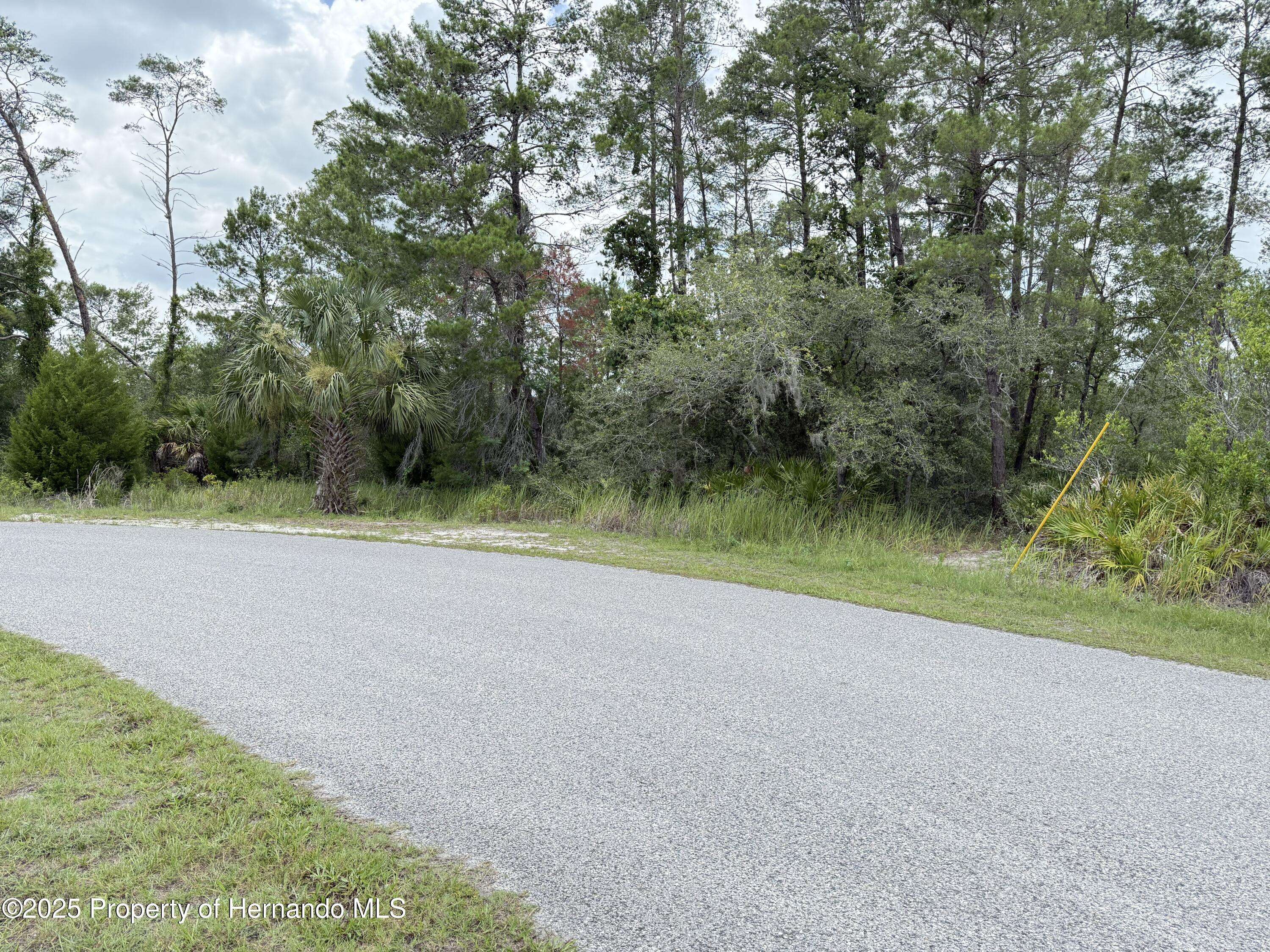 0 Bahama Swallow Avenue, Weeki Wachee, FL 34614