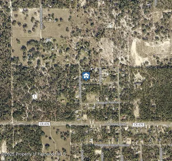 Weeki Wachee, FL 34614,0 KINGFISHER Road