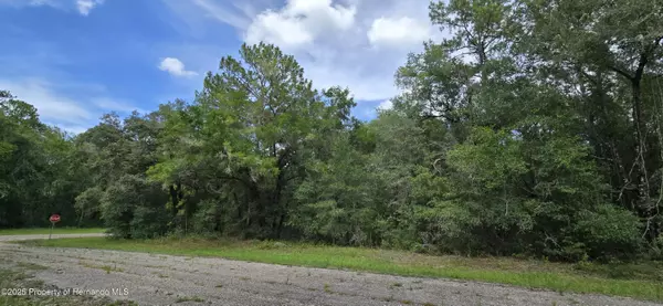 Citrus Springs, FL 34434,9427 N Lampson Terrace