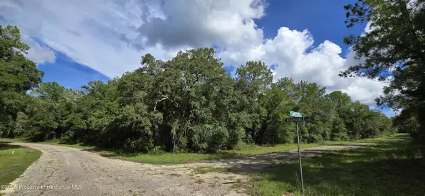 Citrus Springs, FL 34434,9427 N Lampson Terrace