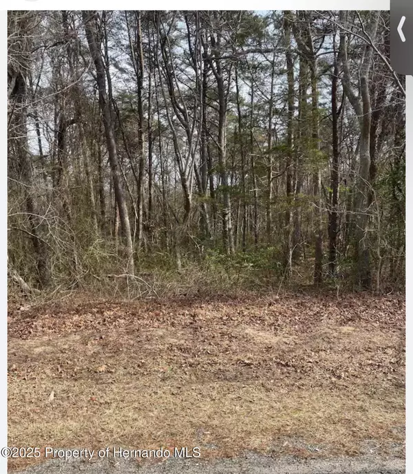 1561 W Gainsboro Lane, Citrus Springs, FL 34434