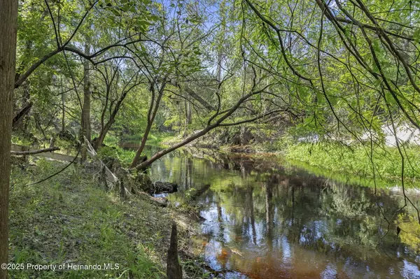 Webster, FL 33597,7055 Karwich Avenue