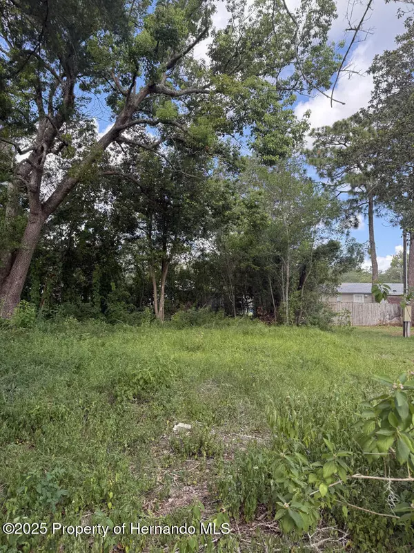 3219 Welsh Street, Spring Hill, FL 34606