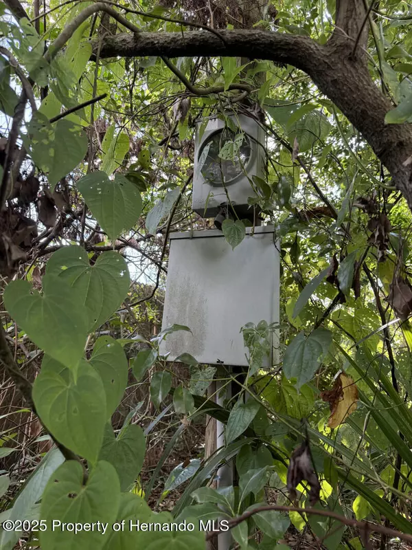 Spring Hill, FL 34606,3219 Welsh Street